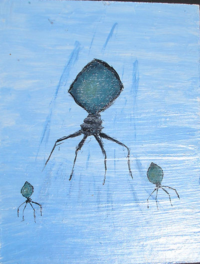 student gallery image