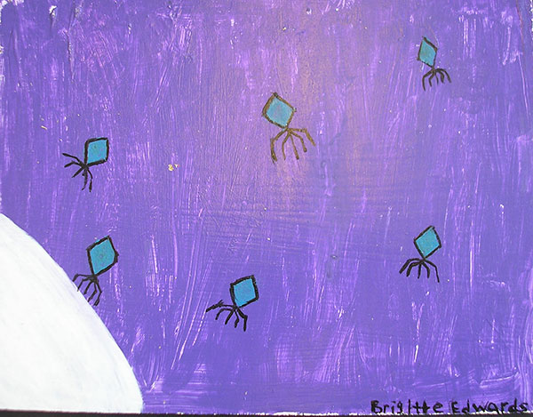 student gallery image