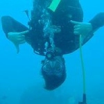 Picture of Steven Quistad