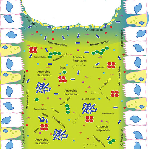 MAMP Communities image
