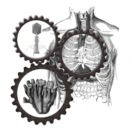 Join the lab