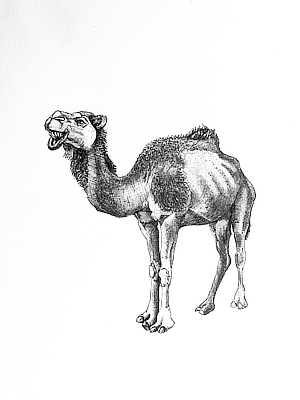 Ben Darby artwork