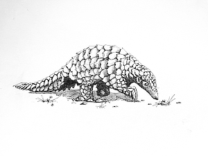 Ben Darby artwork