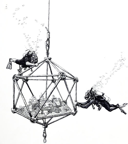 Divers deploying ARKS